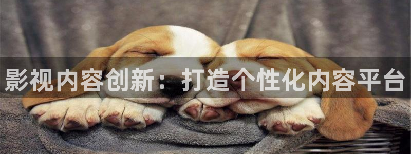 黑蚂蚁影视网站：影视内容创新：打造个性化内容平台