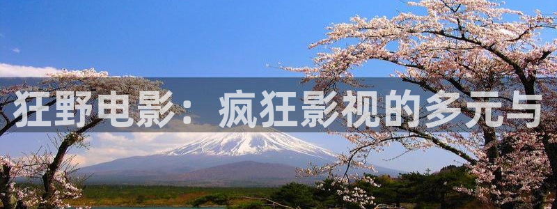 黑蚂蚁电视：狂野电影：疯狂影视的多元与