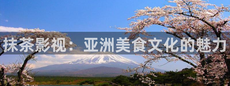 黑蚂蚁电影电视：抹茶影视：亚洲美食文化的魅力