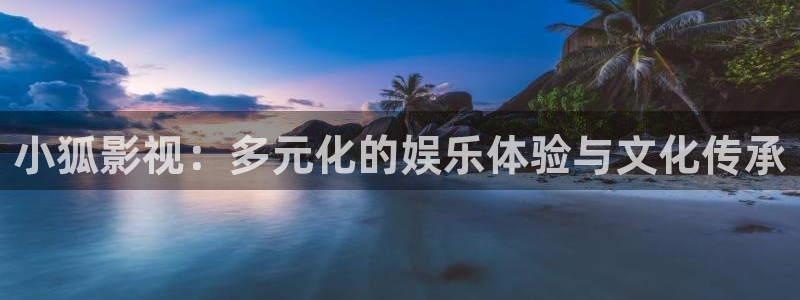 黑蚂蚁影视剧官：小狐影视：多元化的娱乐体验与文化传承