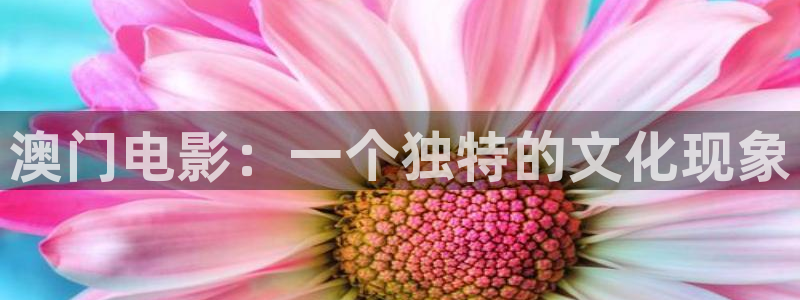 黑蚂蚁影：澳门电影：一个独特的文化现象