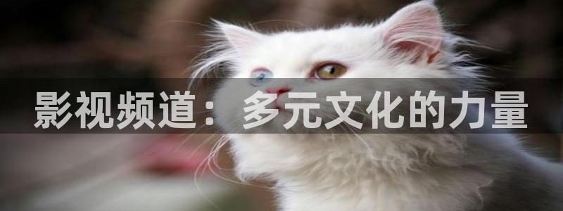 黑蚂蚁影院在线：影视频道：多元文化的力量