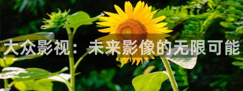 黑蚂蚁电视剧大全：大众影视：未来影像的无限可能
