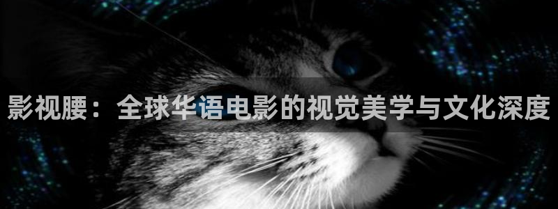 蚂蚁影视黑蚂蚁影视：影视腰：全球华语电影的视觉美学与文化深度