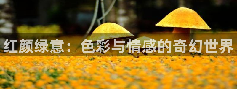 黑蚂蚁影院首页：红颜绿意：色彩与情感的奇幻世界
