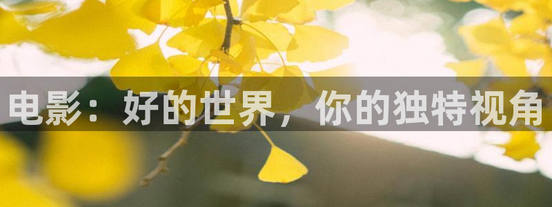 黑蚂蚁图片：电影：好的世界，你的独特视角