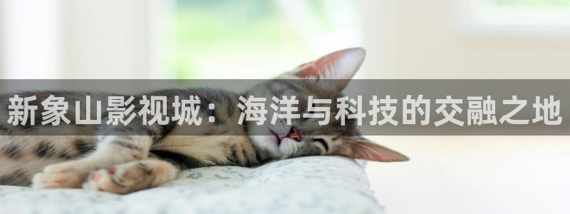 黑蚂蚁影视视频电视剧大全：新象山影视城：海洋与科技的交融之地