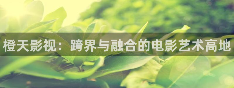 黑蚂蚁影视电视剧：橙天影视：跨界与融合的电影艺术高地