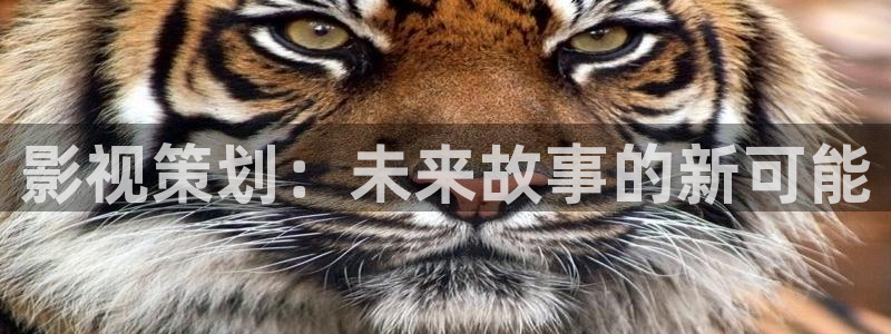 黑蚂蚁影院电视剧全集：影视策划：未来故事的新可能