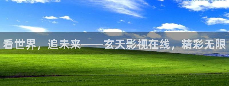 黑蚂蚁免费影院：看世界，追未来——玄天影视在线，精彩无限